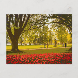 Tulip-festival i Ottawa Vykort