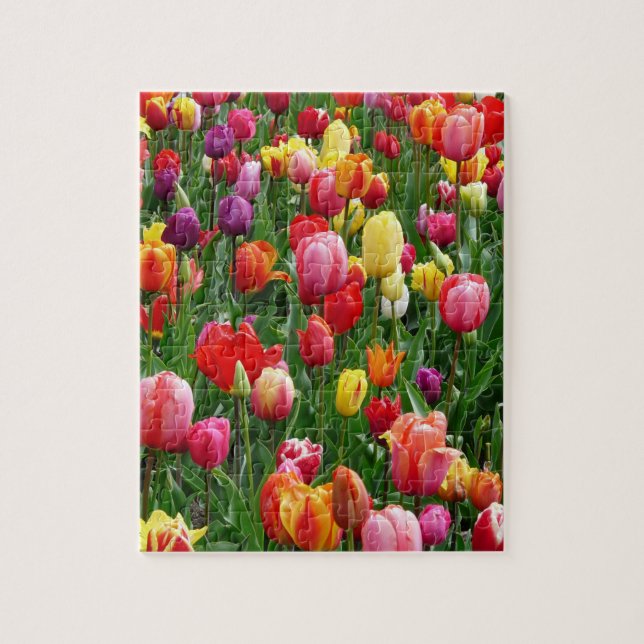 Tulip Festival Pussel (Vertikal)