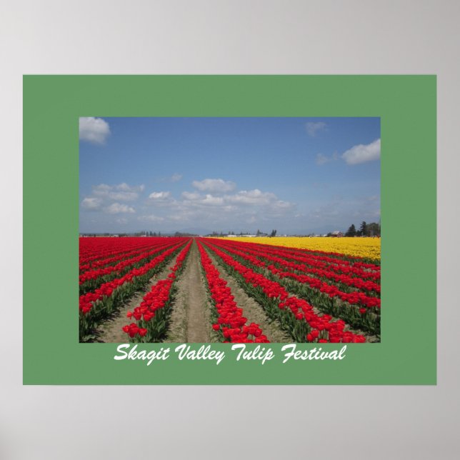 Tulip Festival, Skagit Valley Tulip Festival Poster (Framsidan)