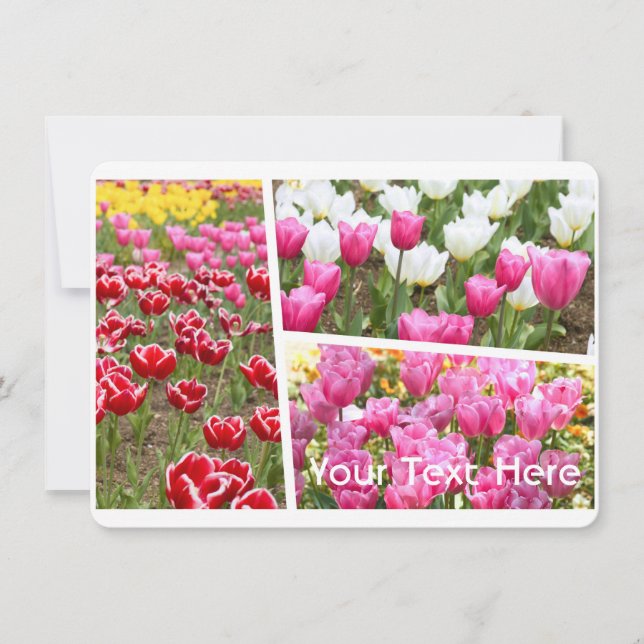 Tulip [Flat Card] (Framsida)
