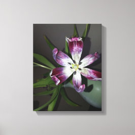Tulip Flower Canvastryck