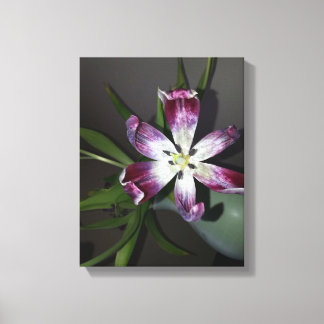 Tulip Flower Canvastryck