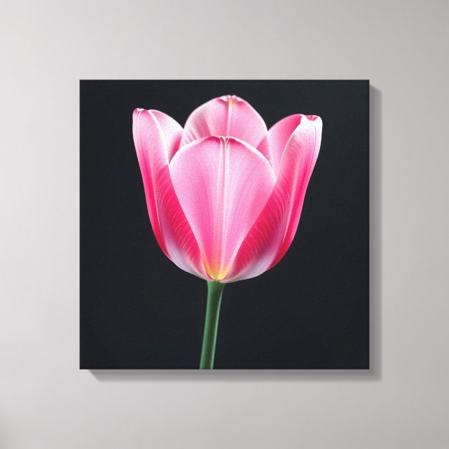 Tulip Flower Canvastryck (Framsida)