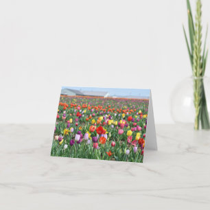 Tulip Flower Liggande hälsningskort Kort