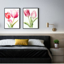 Tulip Flower, Rosa Tulip, minimalist, botaniskt