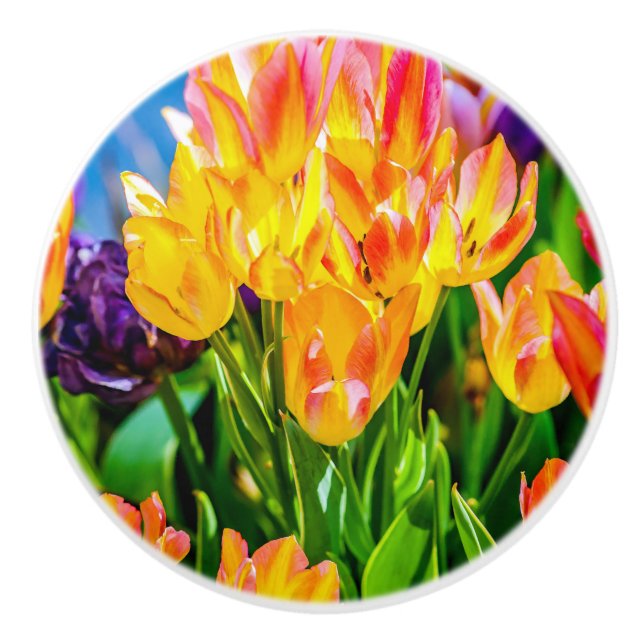 Tulip Flowers - Flourish Knopp (Framsidan)
