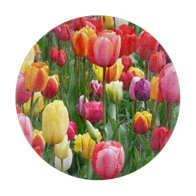 Tulip Flowers Garden (Framsidan)