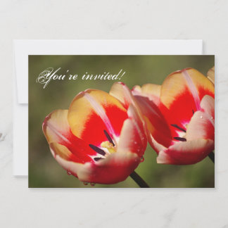 Tulip Flowers-inbjudan Inbjudningar