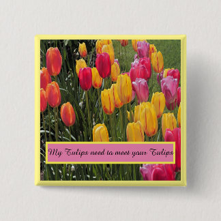 Tulip Flowers Knapp