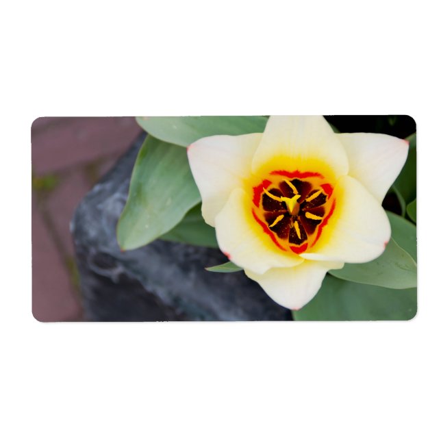 Tulip Fraktsedel (Framsidan)