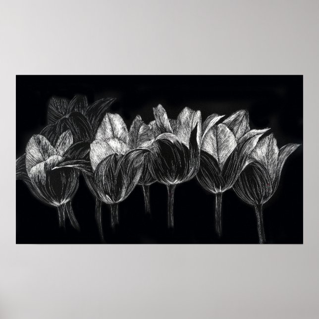 Tulip Garden Black White Scratchboard Art Poster (Framsidan)