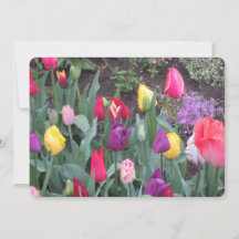 Tulip Garden Flat Helgdag Card