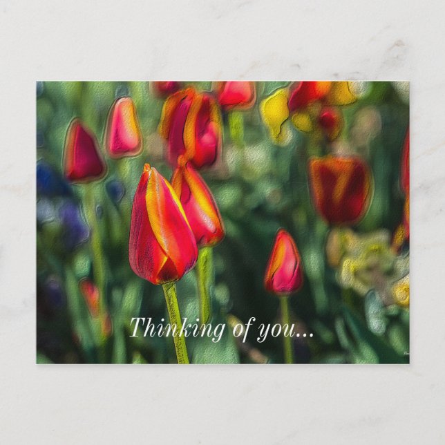 Tulip Garden funderade på ditt vykort (Framsida)