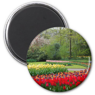 Tulip Garden Magnet