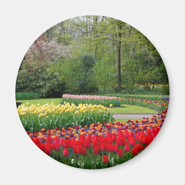 Tulip Garden Magnet (Framsidan)