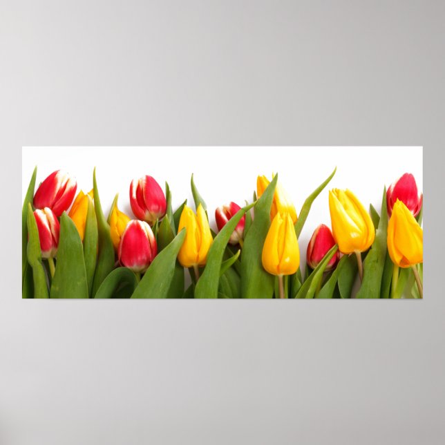 Tulip Garden Poster (Framsidan)