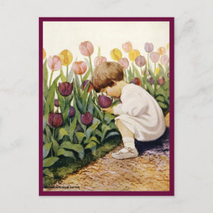 Tulip Garden Vykort