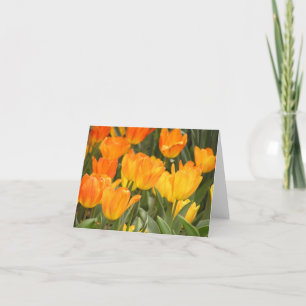 Tulip "General DeWitt"-kort Helgkort