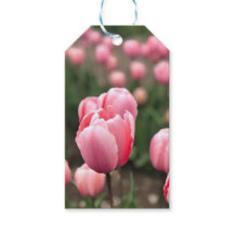 TULIP GIFT MÄRKRES