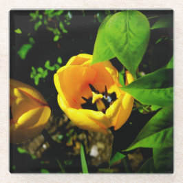 Tulip-glas underlägg