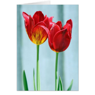 Tulip Greeting Card Hälsningskort