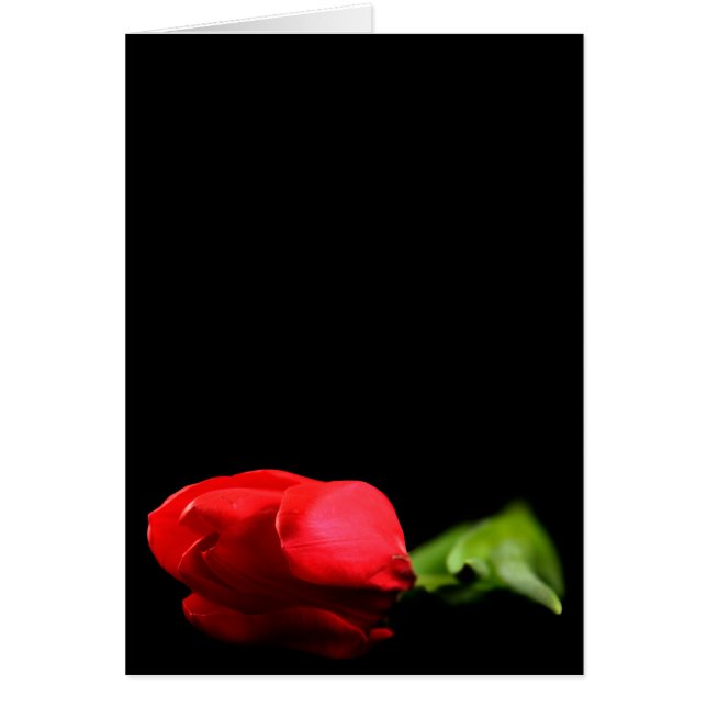 Tulip Greetnicing Card Hälsningskort (Framsidan)