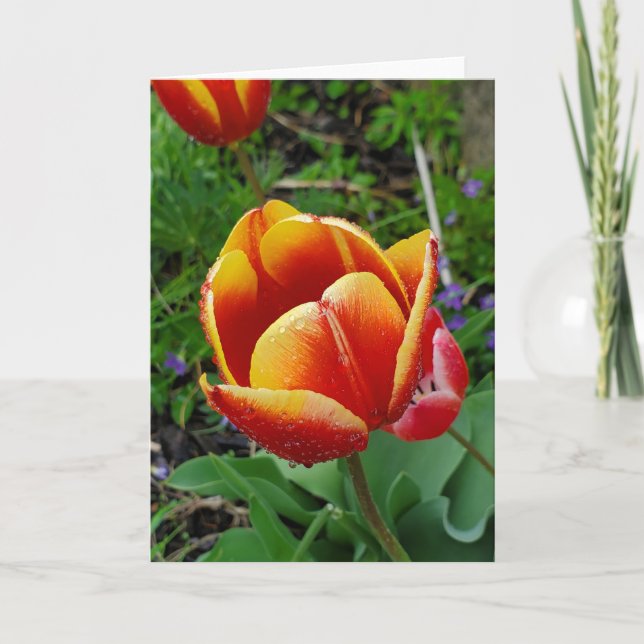 Tulip-hälsningskort Kort (Framsida)