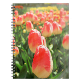 Tulip Heaven Anteckningsbok