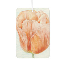 Tulip i Peach Färg