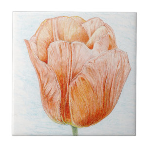 Tulip i persikor kakelplatta