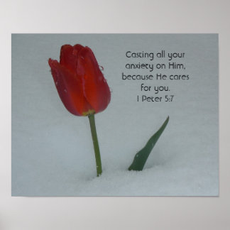 Tulip i Snö Poster