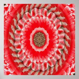 Tulip Illusion..... Poster