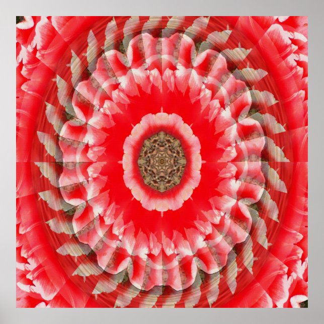 Tulip Illusion..... Poster (Framsidan)