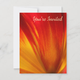 Tulip Inbjudningar
