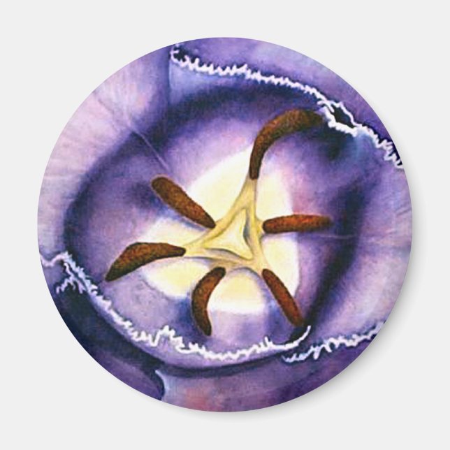 Tulip Insida magnet (Framsidan)