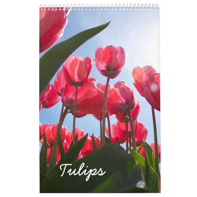 Tulip-kalender Kalender (Omslag)