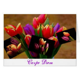 Tulip Kärlek-Carpe Diem-kort Hälsningskort