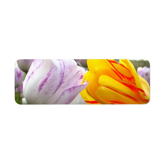 Tulip Kärlek Returadress Etikett (Framsidan)
