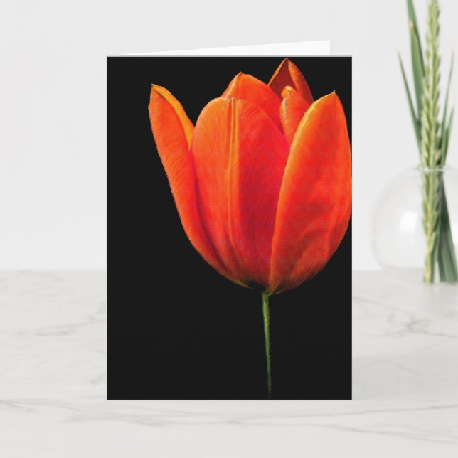 Tulip Kort (Framsida)