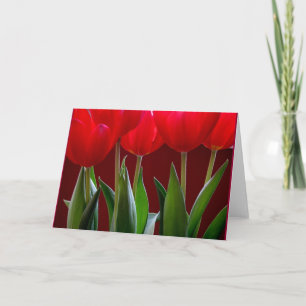 Tulip-kort 2 kort