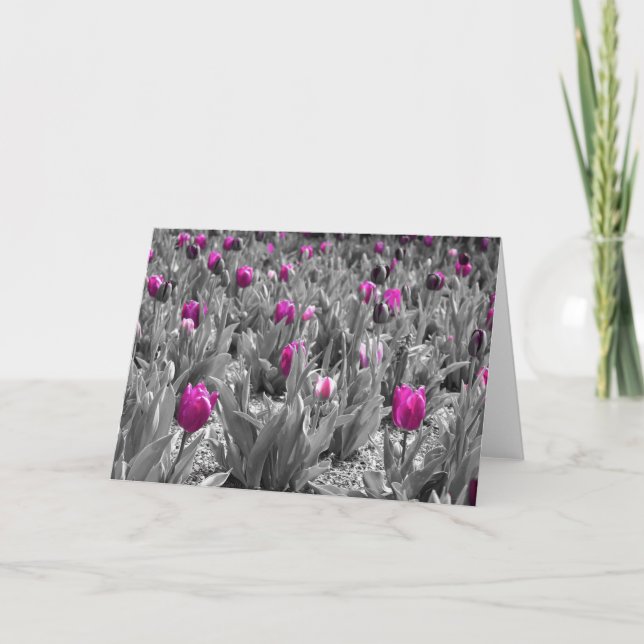 Tulip-kort Kort (Framsida)