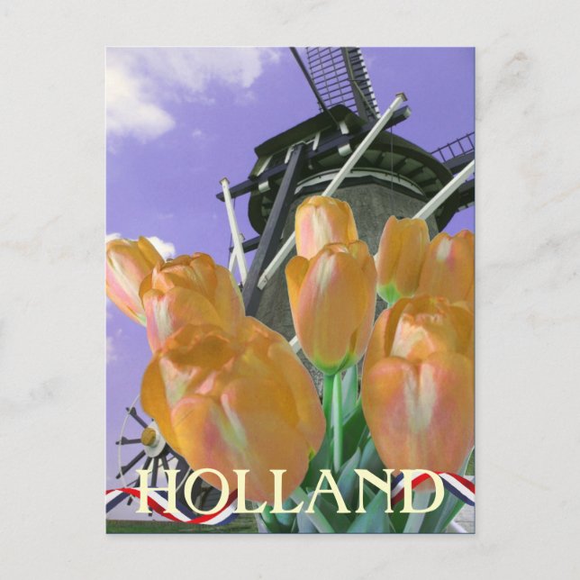 Tulip Kvarn Art Holland vykort (Framsida)
