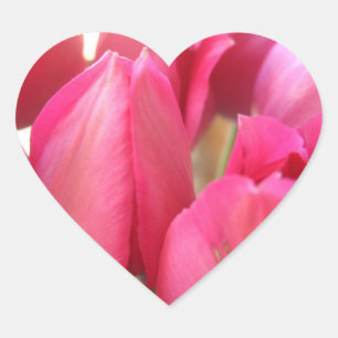 Tulip Lökar Stickers Hjärtformat Klistermärke