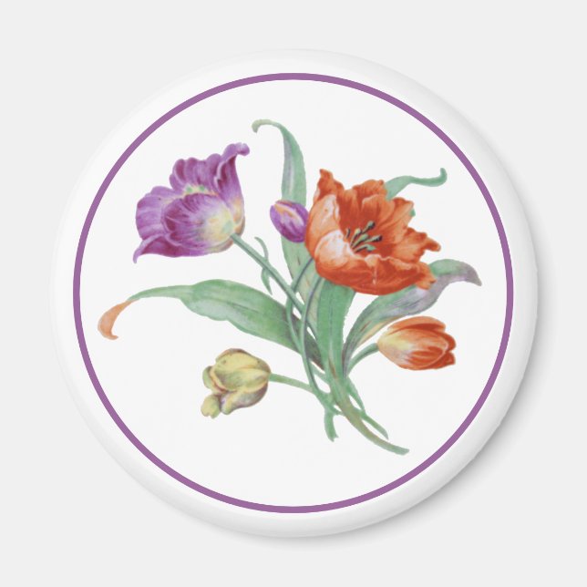 Tulip Magnet (Framsidan)