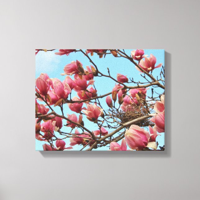 Tulip Magnolia träd med Birdsnest på Canvas (Framsida)