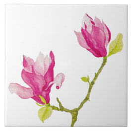 Tulip Magnolias på en keramisk platta (1) Kakelplatta