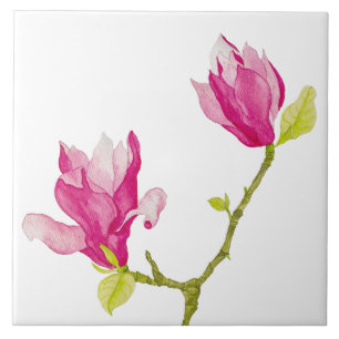 Tulip Magnolias på en keramisk platta (1) Kakelplatta
