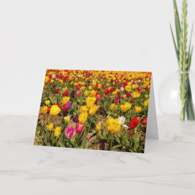 Tulip mania blank-gratulationskort kort (Framsida)