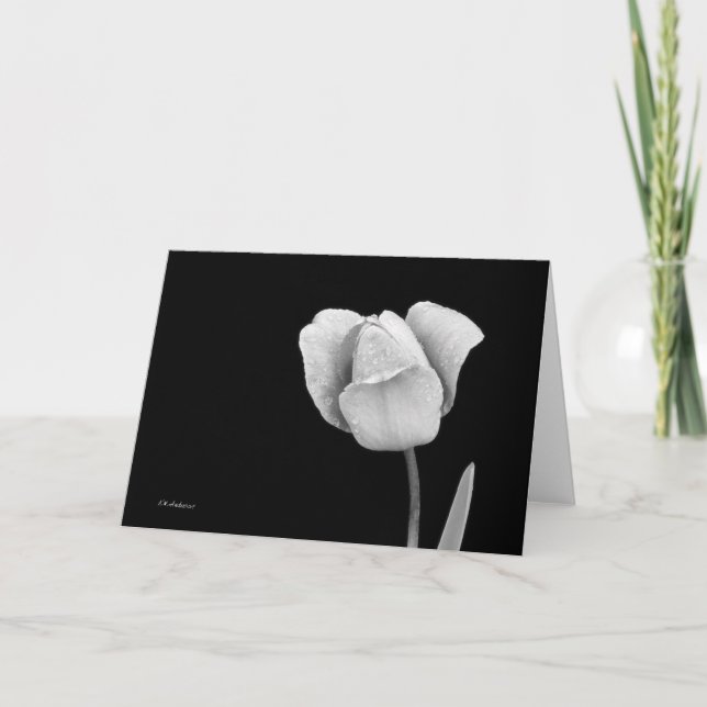 Tulip med regndroppar i svartvitt kort (Framsida)