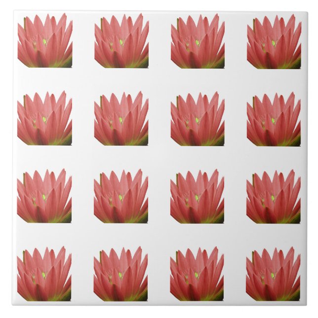 Tulip Mönster Kakelplatta (Framsidan)